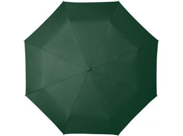 Impliva Paraplu MiniMAX Opvouwbaar Automatisch Sluiten/Openen Windproof 100cm Donker Groen - Afbeelding 2